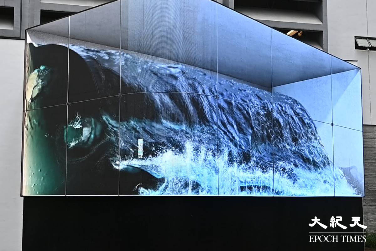 唔止打卡｜油街新藝術空間明開放 藝術科技幻像之旅 3D鯨魚超逼真