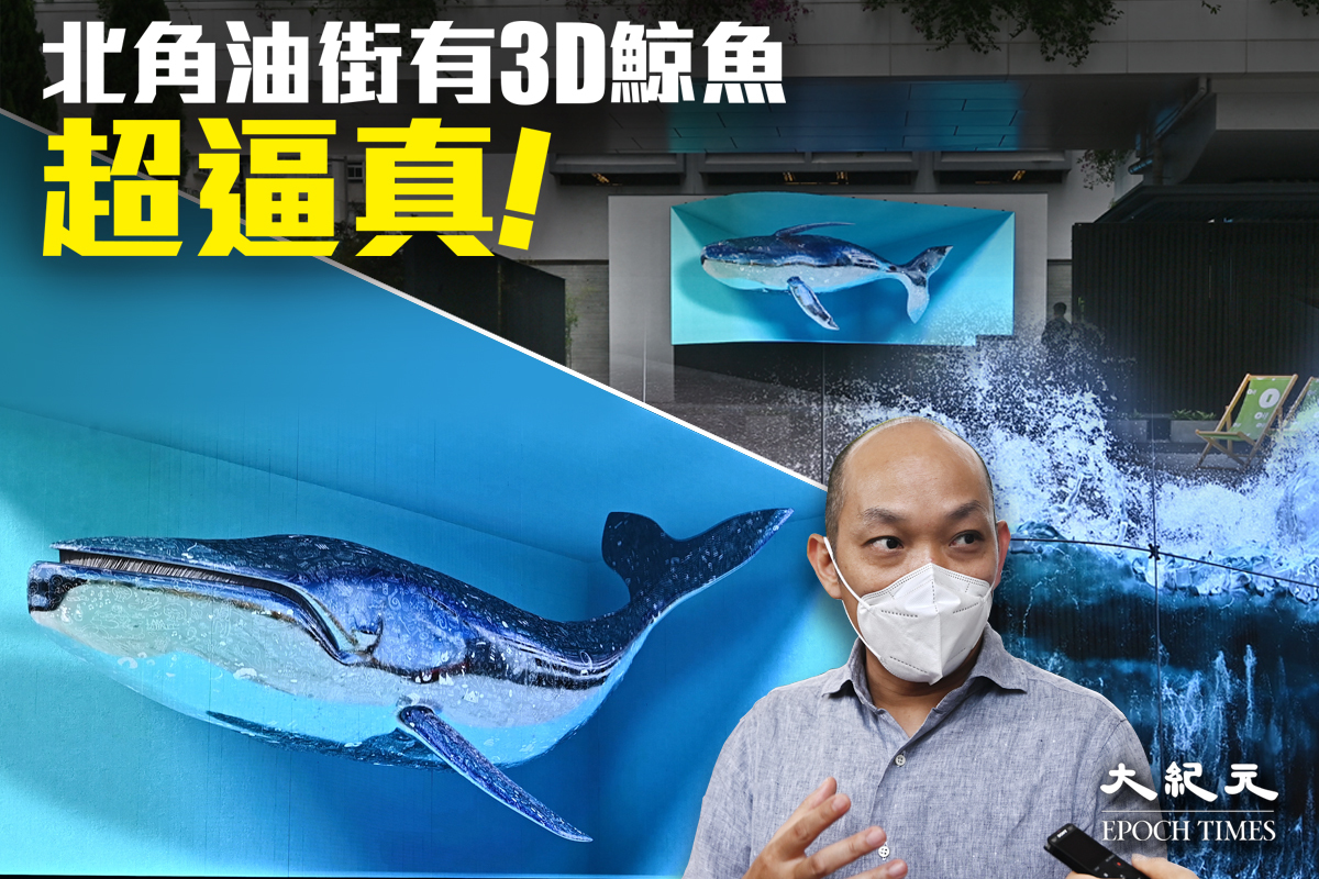 唔止打卡｜油街新藝術空間明開放 藝術科技幻像之旅 3D鯨魚超逼真（有片）