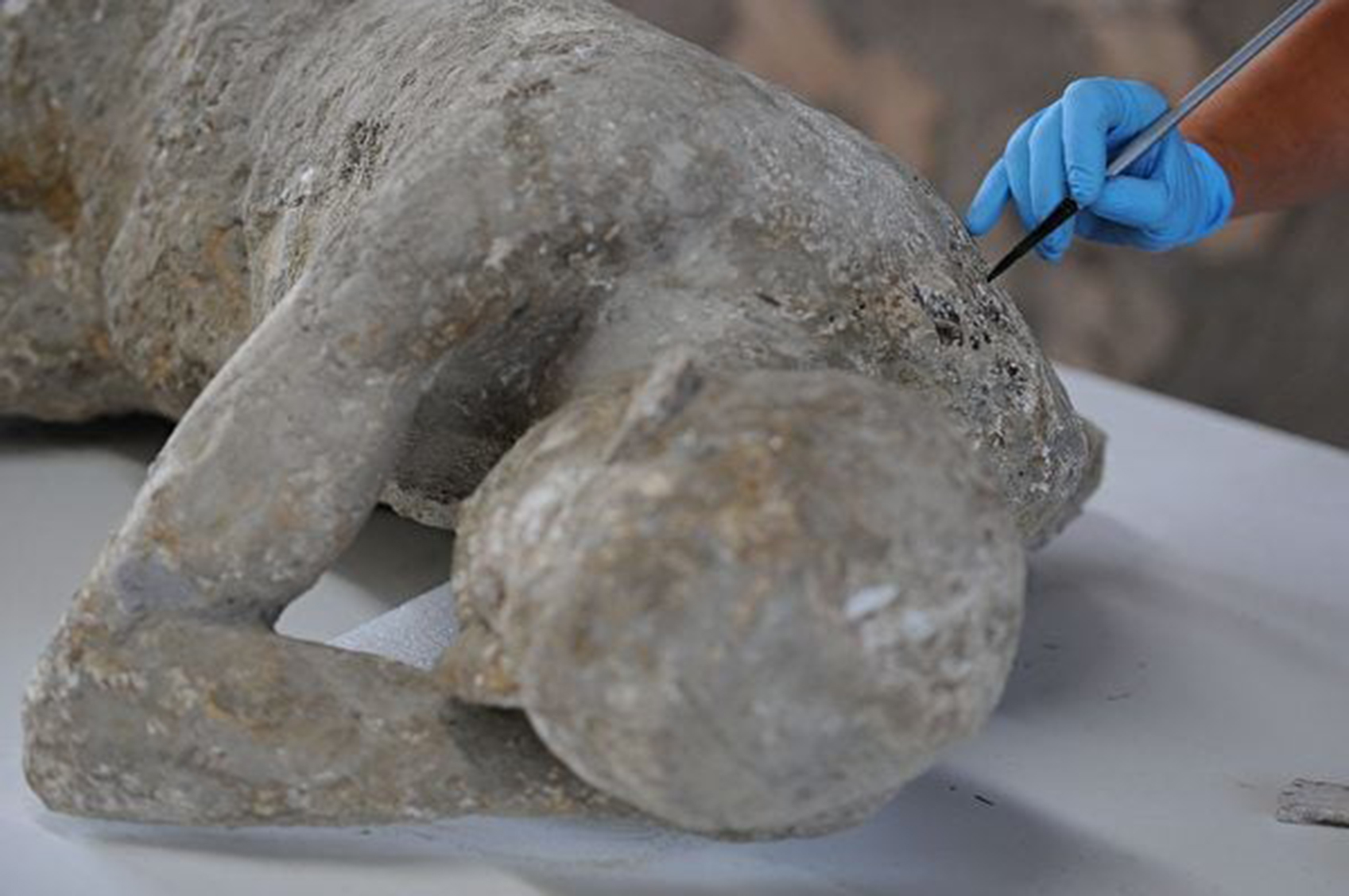 龐貝考古新研究遇難者因大量火山灰窒息而亡｜大紀元時報香港 