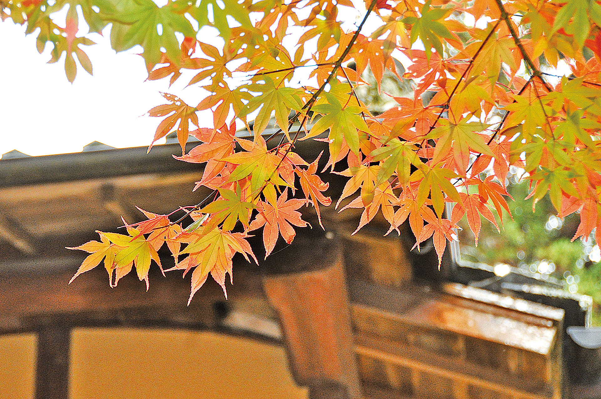 心靈陽光 然後 明天繼續下去 大紀元時報香港 獨立敢言的良心媒體