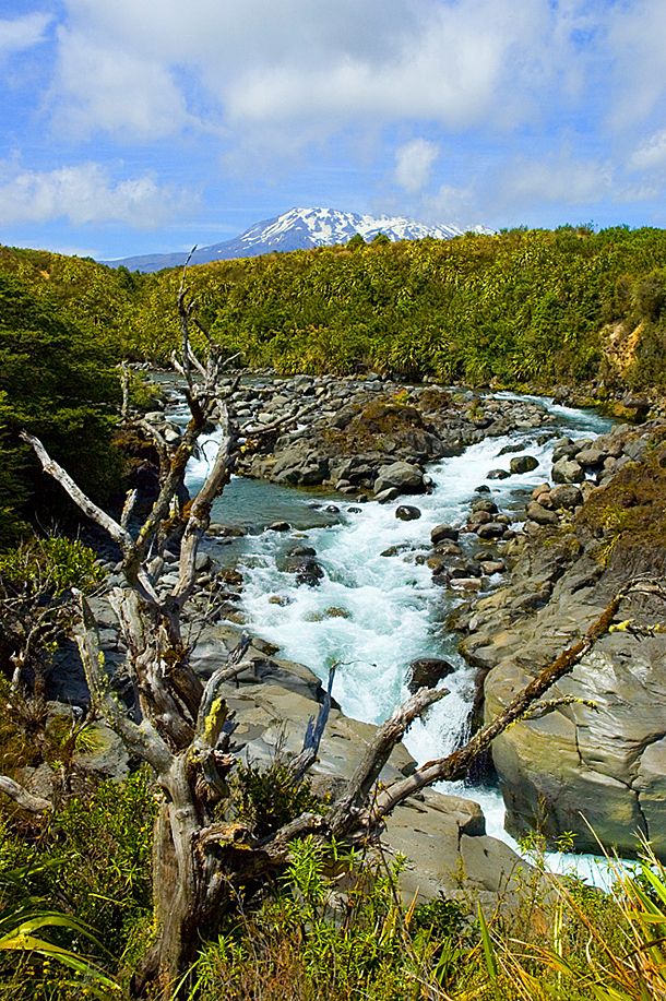 東格里羅國家公園東格里羅山的山峰。 ( Department of Conservation/Flickr)