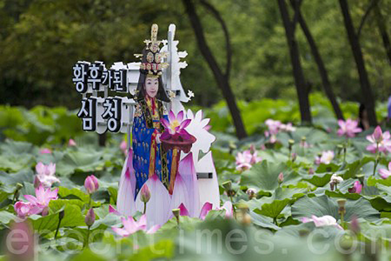 韓國京畿道洗美苑蓮花盛開。（全景林／大紀元）