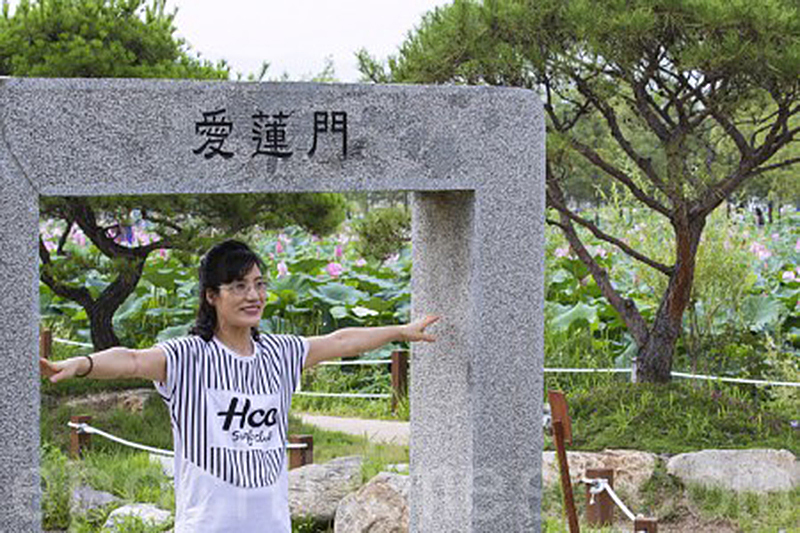 韓國京畿道洗美苑蓮花盛開，遊客紛紛拍照。（全景林／大紀元）