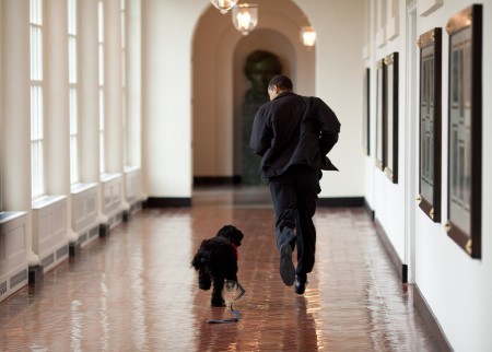 （Pete Souza/White House）