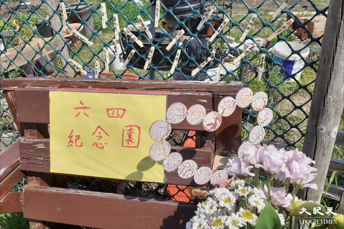 前香港駐北京六四記者蔡淑芳，把後花園變身成「六四紀念園」，以自己的方式悼念六四32周年。（蔡淑芳提供）