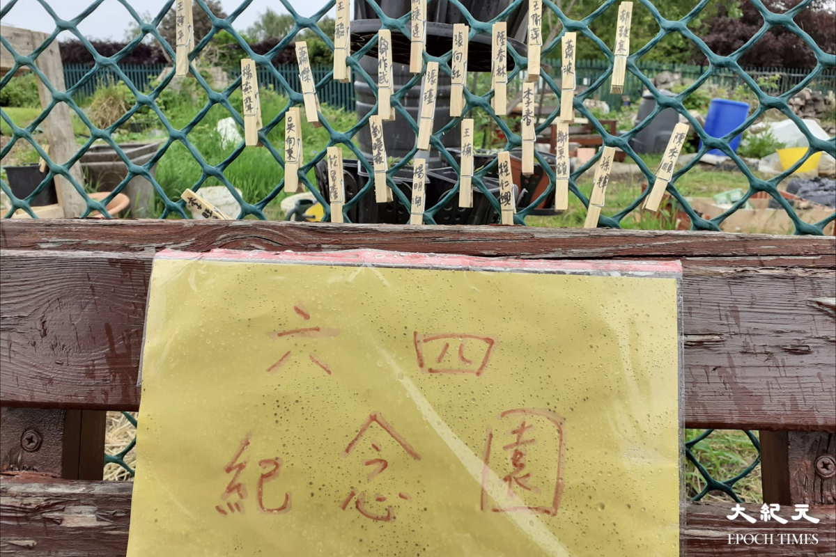 前香港駐北京六四記者蔡淑芳，把後花園變身成「六四紀念園」，以自己的方式悼念六四32周年。（蔡淑芳提供）