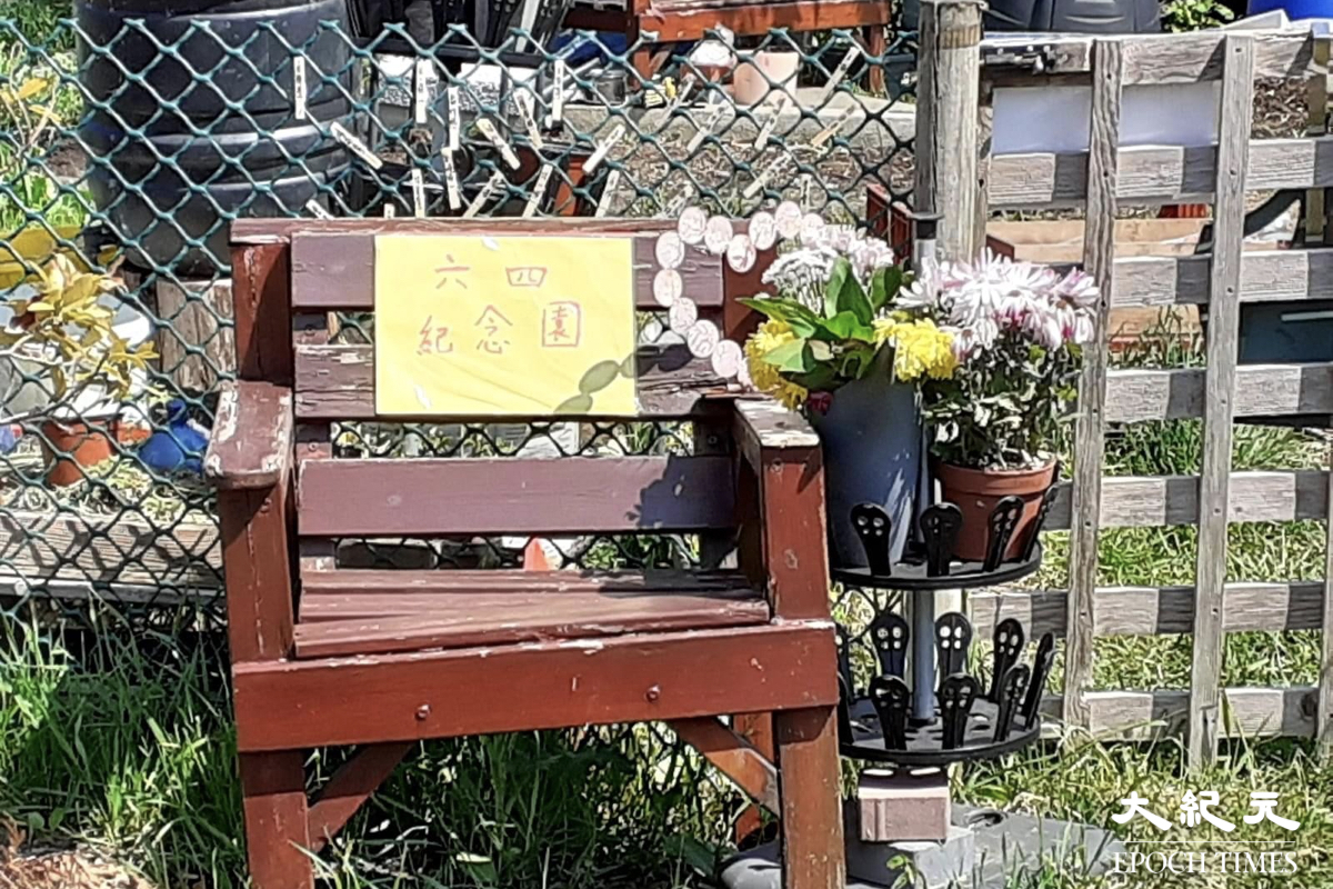前香港駐北京六四記者蔡淑芳，把後花園變身成「六四紀念園」，以自己的方式悼念六四32周年。（蔡淑芳提供）