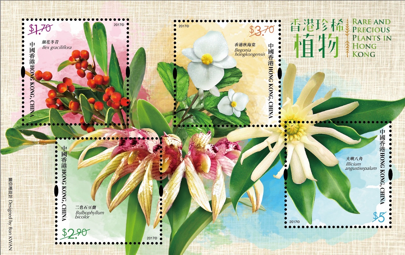 「香港珍稀植物」展現香的植物多樣性。（政府新聞處）