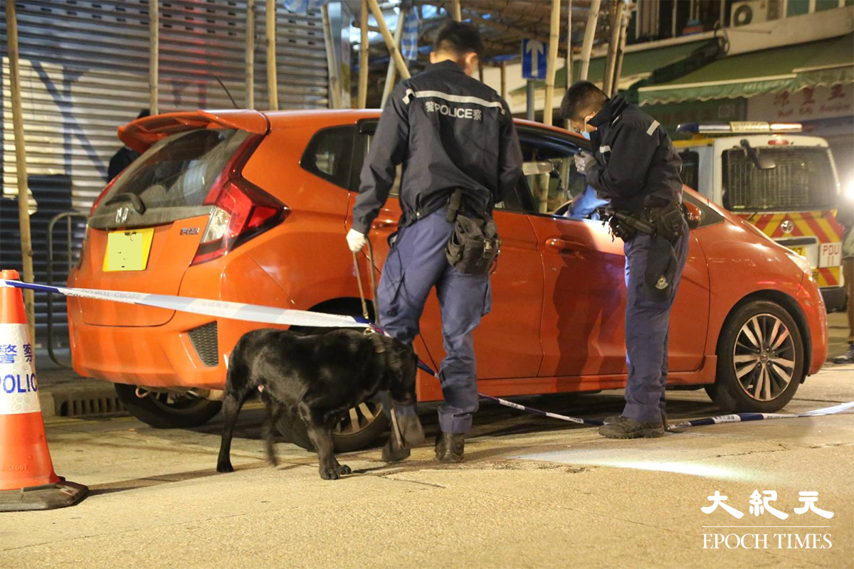 販毒男子被拘捕後，緝毒組探員帶同緝毒犬，奉召到場仔細搜查接案私家車。（金國米／大紀元）
