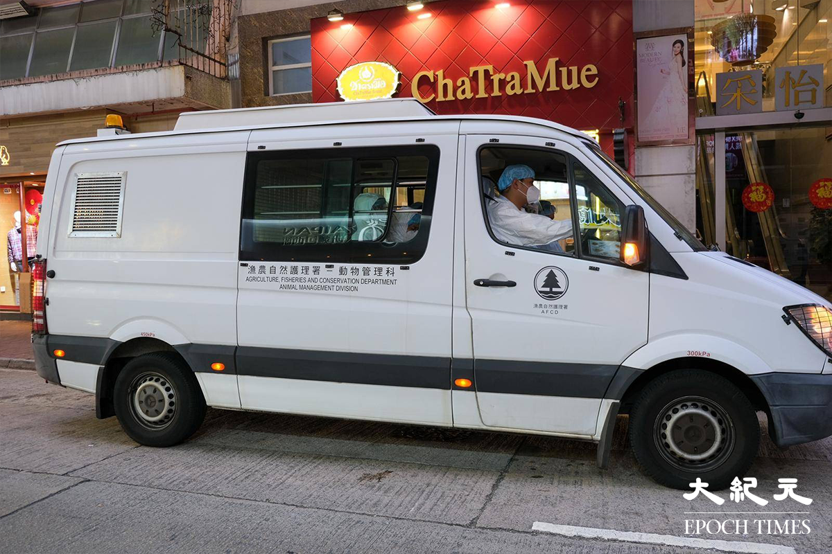 穿著全套白色保護裝備的漁護署工作人員，於下午5時30分抵達銅鑼灣渣甸街涉事寵物店 Little Boss 外，警方派出警員在場戒備。（朱寶生／大紀元）