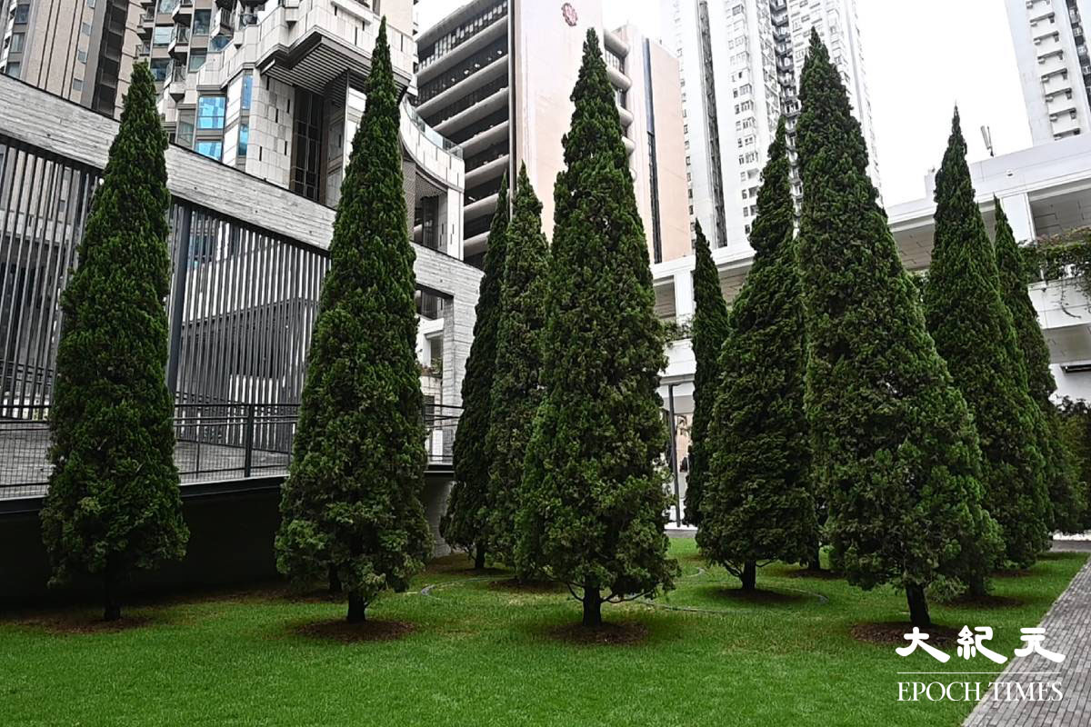 場內花園種植多棵龍柏樹，其中三棵種植在傾斜10度的轉盤上，轉動時光線、陰影和圖案交錯，讓參觀者感受「非自然之自然」。（宋碧龍／大紀元）