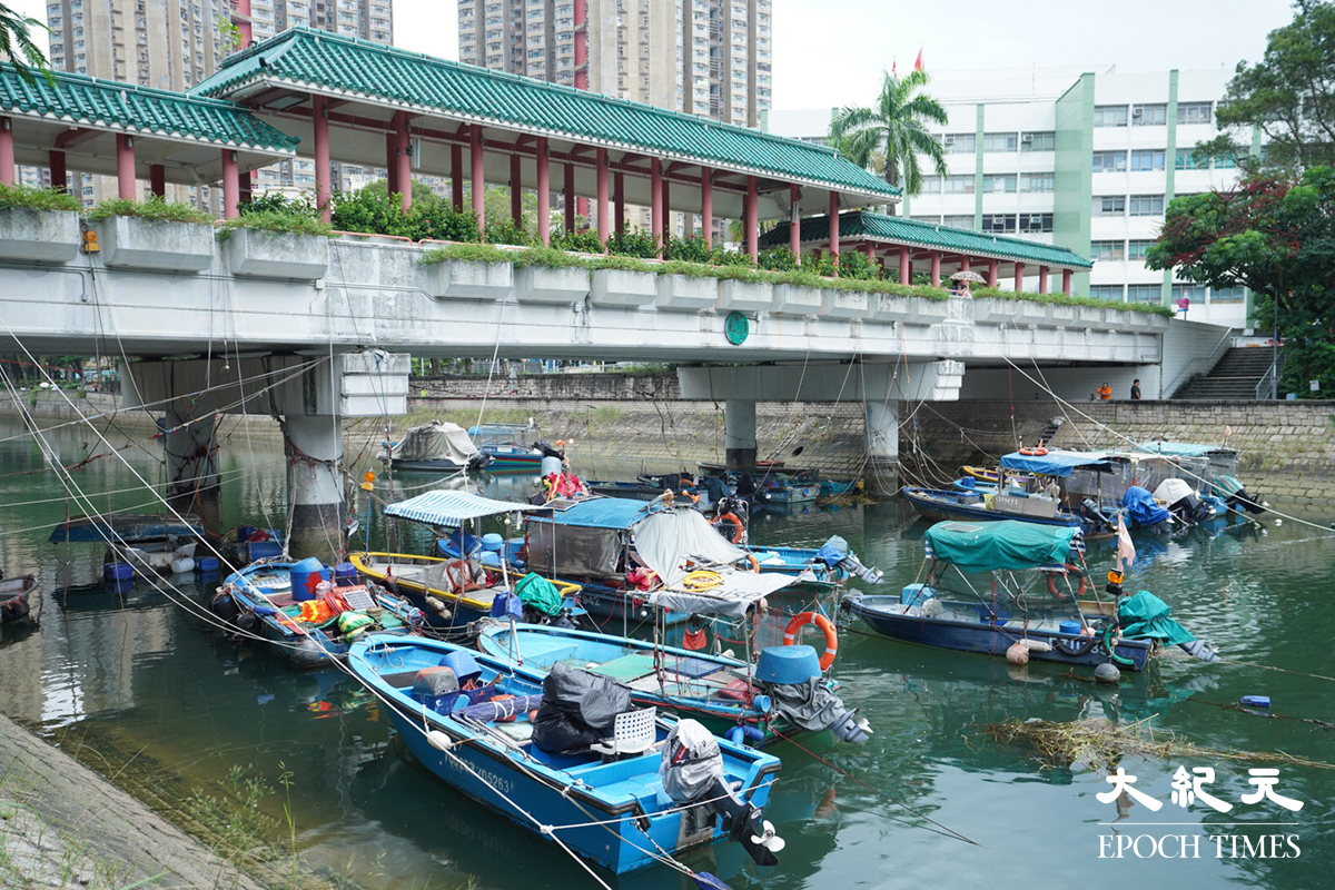 大埔林村河水浸黑點亦設有大量沙包及欄柵防洪，在場亦有「龍吸水」機械人看守，有船隻被繫在廣福橋上，防止潮水上漲時被沖走。（余鋼/大紀元）