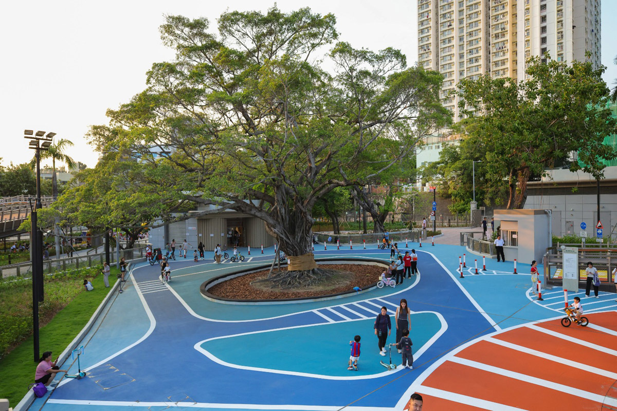 賈炳達道公園保留多棵具保育價值的大樹,包括兩棵列入《古樹名木冊》的古樹及兩棵「受特別關注的樹木」。圖中設施為單車練習場。(市建局提供)