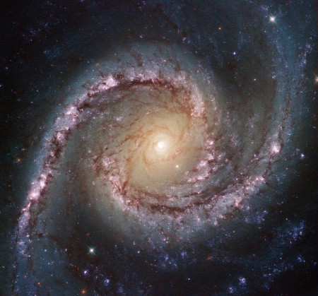 位於4千萬光年距離的NGC1566星系。(NASA)