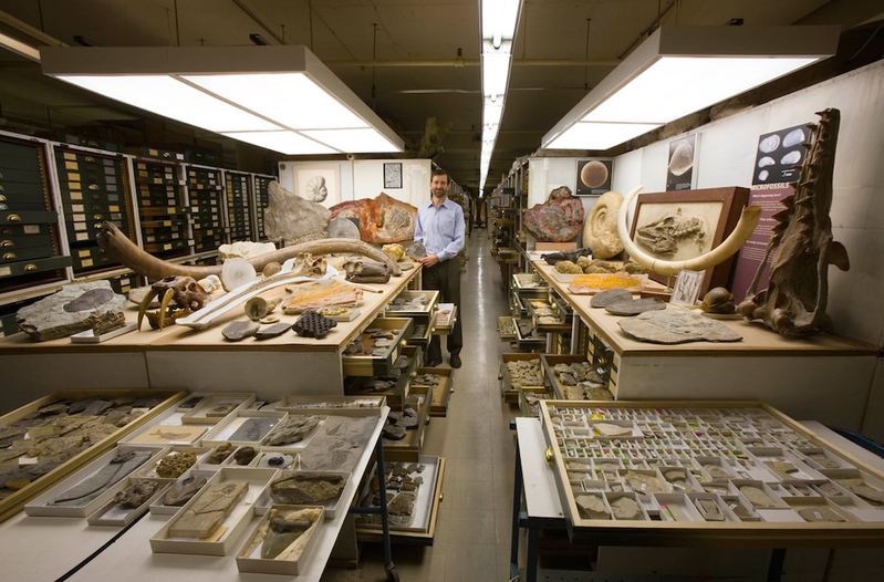 古生物標本保管室。(Chip Clark/Smithsonian)